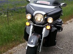 Red Poppy - Steves Bike